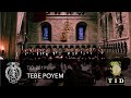 Tebe Poyem - Trondhjems Studentersangforening