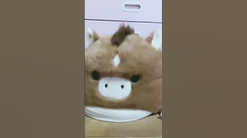 Rating a Squishmallow plop! #squishmallows