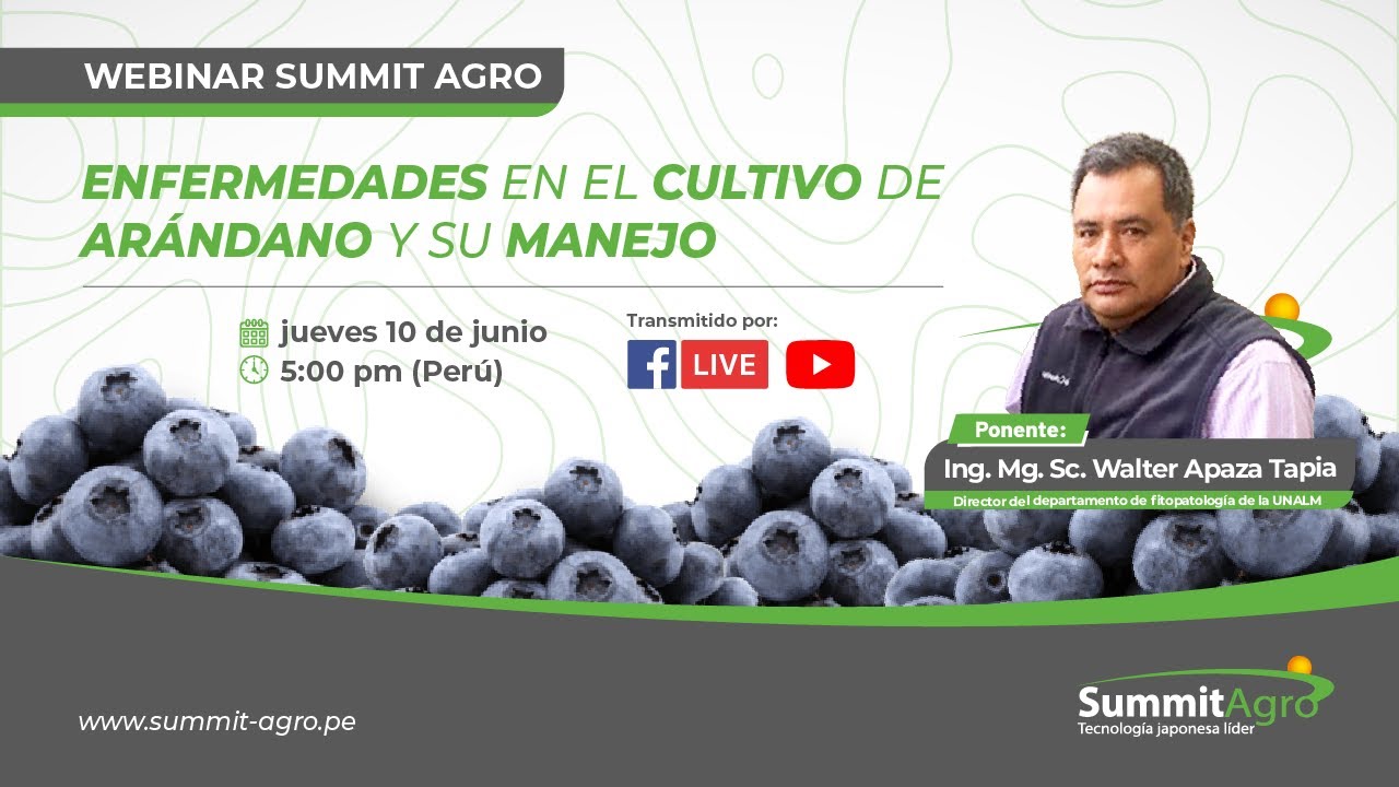 Summit Live: "Enfermedades en el cultivo de arándano y su manejo"