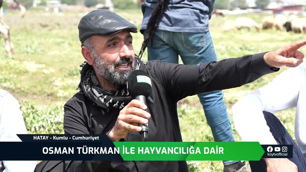 OSMAN TÜRKMAN İLE HAYVANCILIĞA DAİR - HATAY KUMLU CUMHURİYET