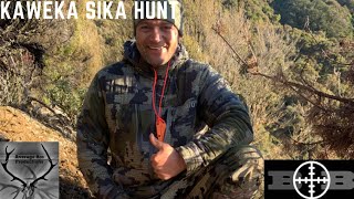 HUNTING NEW ZEALAND-Kaweka Sika Deer Hunt with TJ and Gav Bubu.