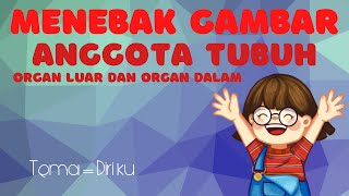 MENEBAK GAMBAR ANGGOTA TUBUH | ORGAN LUAR DAN ORGAN DALAM | TEMA DIRI KU screenshot 5