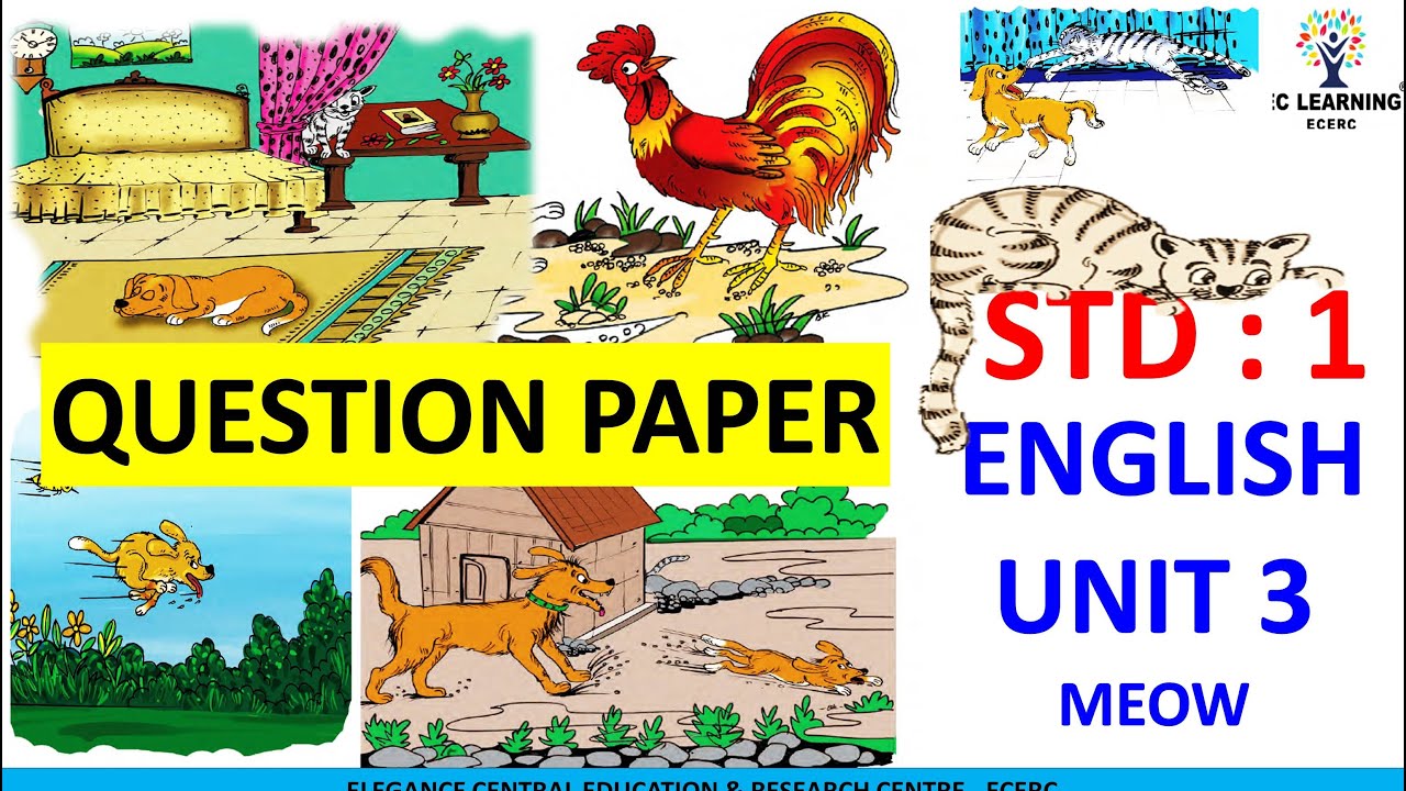 STD 1 ENGLISH UNIT 3 MEOW | QUESTION PAPER |Ec Learning | ECERC #scert ...