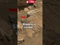 Mars Rover Surface Anomalies | Curiosity - Sol 1065 - part 3