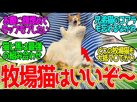 Yogibo Farm's Hoke-chan ← I hope he becomes as popular as Meto-san... Everyone's reaction to this...