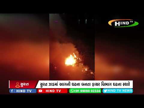 સુરત ઝાડમાં આગની ઘટના બનતા ફાયર વિભાગ ઘટના સ્થળે