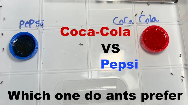 CocaCola vs Pepsi, which one do ants prefer??