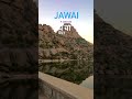 jawai - the land of leopards 🐆 western rajasthan #rajasthan