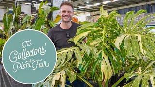 AUSTRALIA'S LARGEST PLANT FAIR  a full tour of the Collectors' Plant Fair 2024