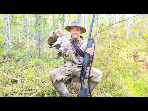 ОХОТА НА РЯБЧИКА С ТУРЕЦКОЙ АТА НЕО Х / ОТКРЫЛ СЕЗОН УДАЧНО / СОБАКА ЧИПА С УМА СХОДИТ ПО ПТИЦЕ.