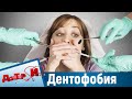 Всё о дентофобии. “Доктор И“