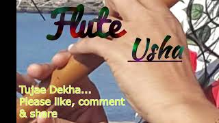Tujhe Dekha To Yeh Jana Sanam || Jatin, Lalit || Dilwale Dulhania Le Jayenge || FluteUsha Cover