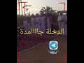 الدخله جامده