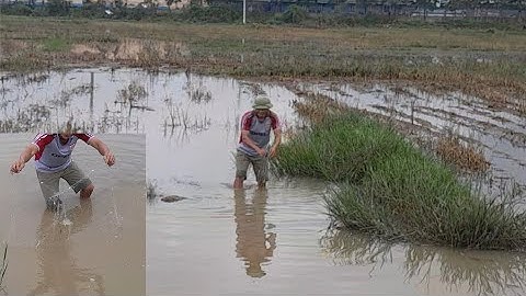 #thả lưới bắt cá ,lũ lên ngập ruộng đồng giờ nước rút theo vũng thả lưới và cái kết bất ngờ #hiểu 