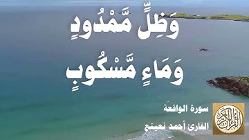 056 أحمد نعينع - سورة الواقعة