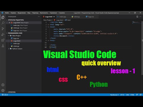 Overview of the Visual Studio Code Editor (lesson 1) | Python | VS Code