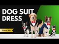Dog Tuxedo Suit