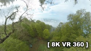 Когда приходят облака. г.Хипста, Гудаута, Абхазия, высота 1300м. Таймлапс 8K VR 360