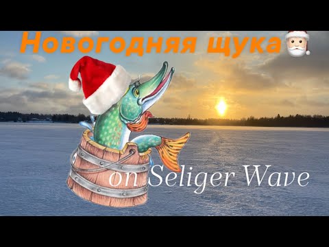 Новогодняя щука на Селигере