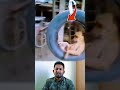কতটা সুখে আছে না দেকলে বুঝবেন না
