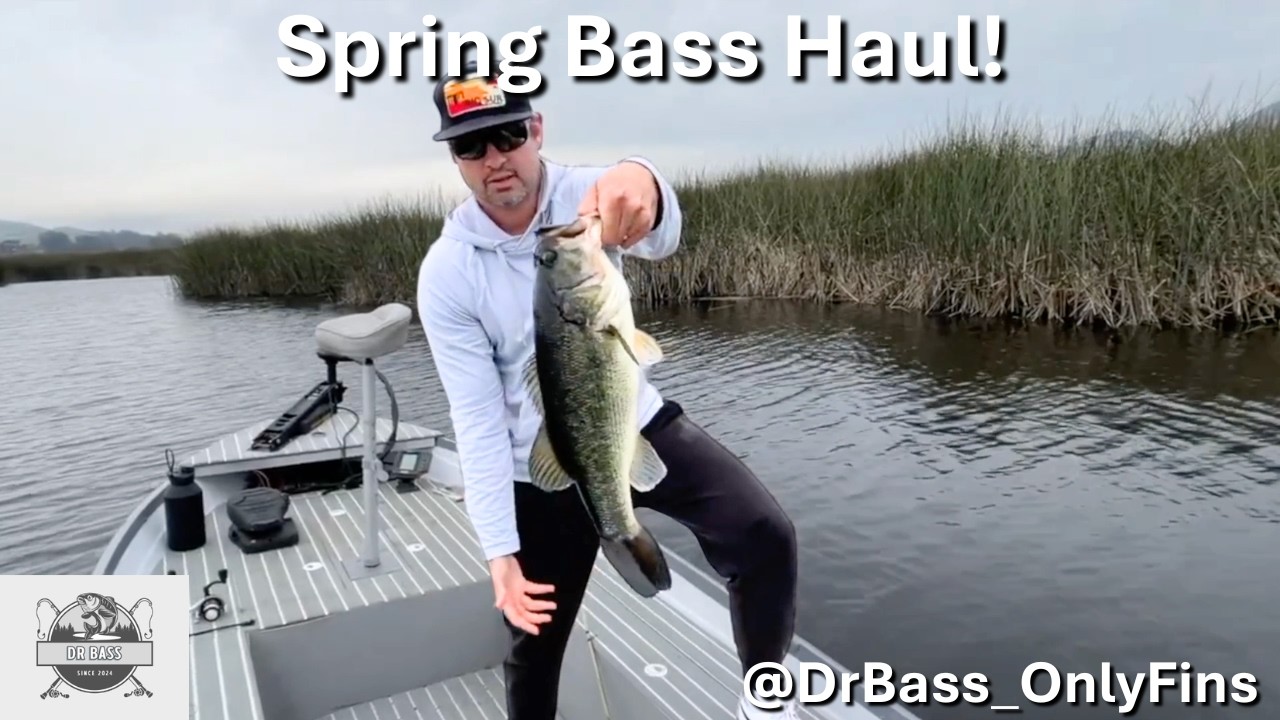 Spring Bass Haul | Non-Stop Action! @DrBass_OnlyFins #fishing #bassfishing #tinyboat #rippinlips