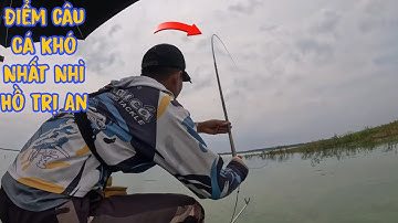 Câu Đài Tự Nhiên | Điểm Câu Cá Khó Nhất Nhì Hồ Trị An