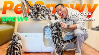 PetSnowy SNOW⁺ Litter Box: Safe, Smart, & Purrfectly Reliable