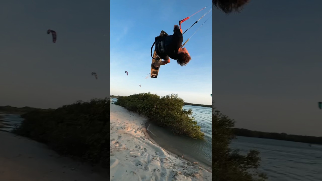 Insta360 mangrove session