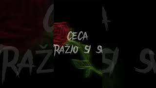 Ceca - Tražio si sve