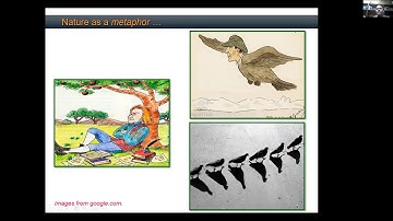 EE100 Lab Lecture 8 - Whirlwind Tour of Biomedical Imaging