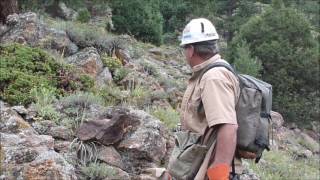 Silver Prospecting