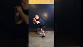 Eccentric Bodyweight Lateral Lunge