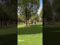 #tiktok #nature #poppballons #balloonexperiment #balloonrocket #rocketballoon #funny #soraai #sora