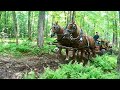 THE CIRCLE OF LIFE &amp; Hauling Firewood with my Draft Horses #495