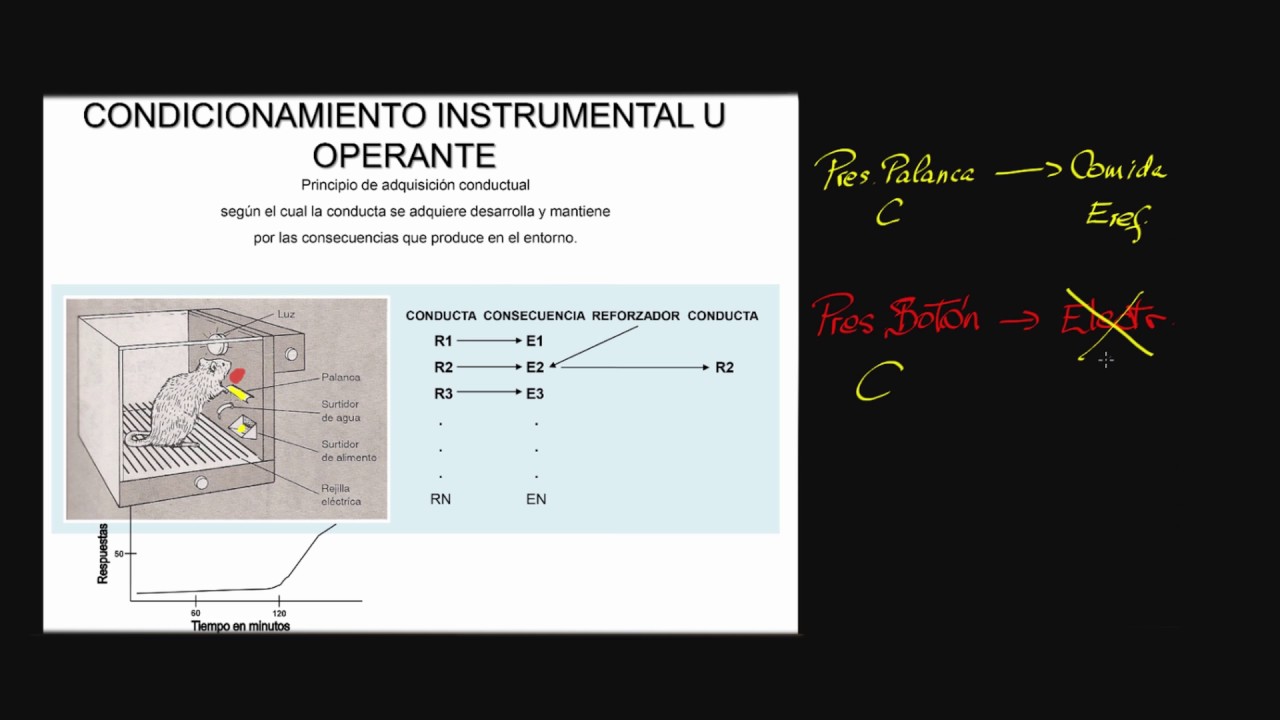 Psicología S11 P02