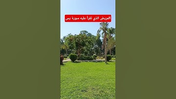 المريض الذي تقرأ عنده سورة ياسين🤲🤔🕋 استمع لحديث الشيخ محمد متولي الشعراوي في ذلك من علم وعظة