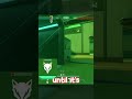 How To USE SKYE DOG Efficiently!