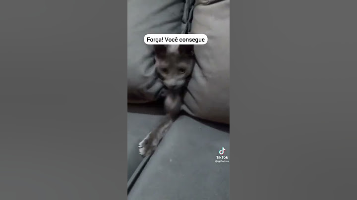 45- o gato está nascendo dentro do sofá.