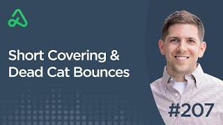 Short Covering & Dead Cat Bounces [Episode 207]