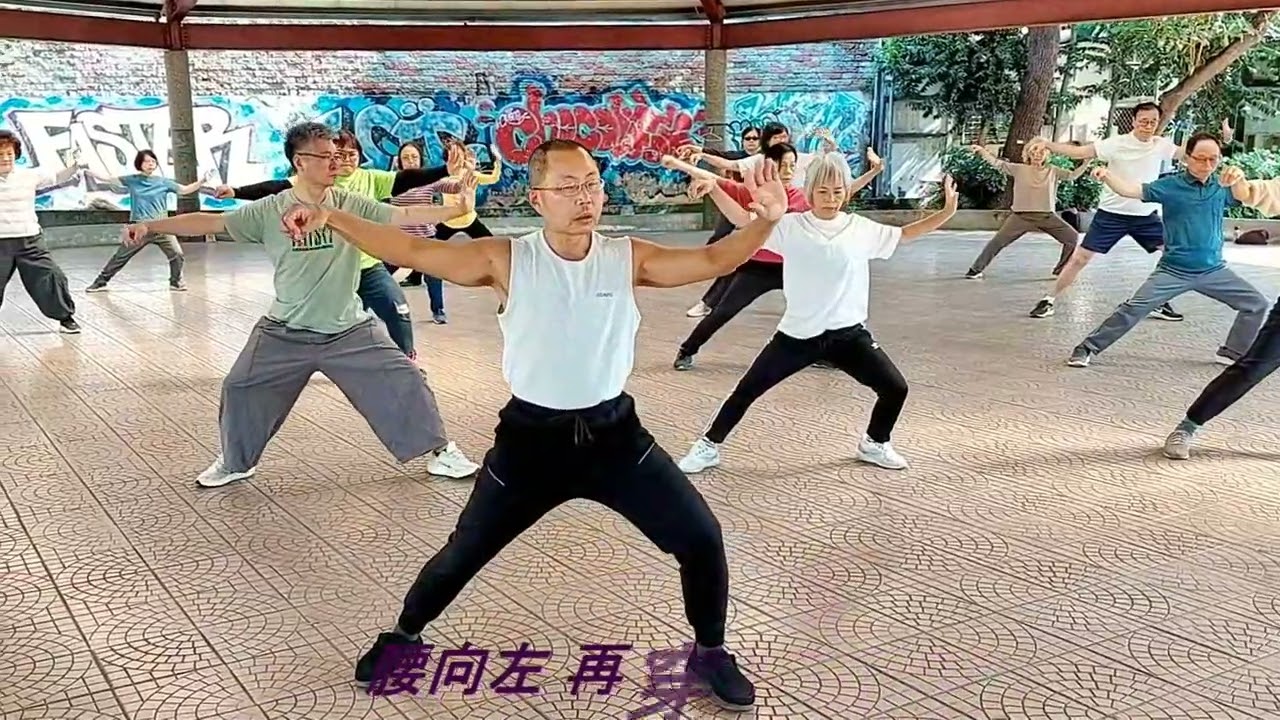 2026崔成龍 太極8式: 全套