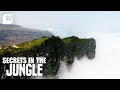 Oman's Unique Desert Ecosystem
