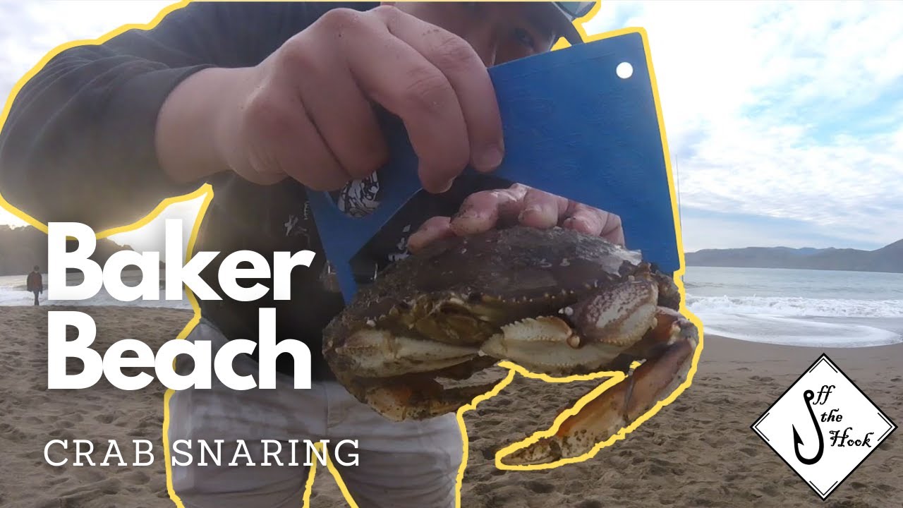 How to Crab Snare at Baker Beach! (Day 48) 