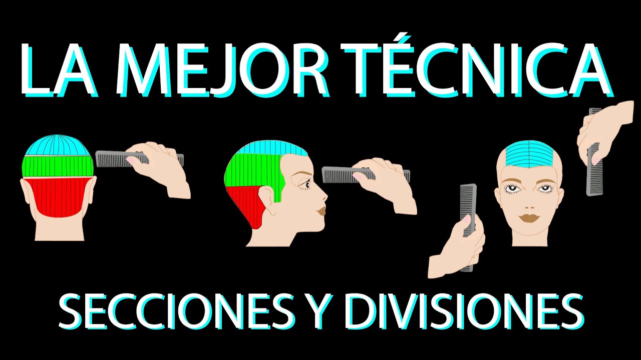 LA MEJOR TÉCNICA secciones y divisiones