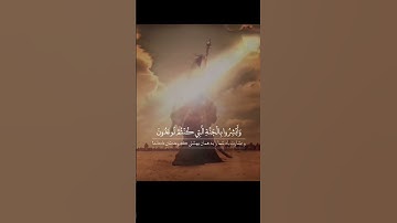 سوره مبارکه فصلت، آیات ۳۰ تا ۳۲🔹️گوینده: بهروز رضوی 🔹️مترجم: مسعود ریاعی #ترجمه_فارسی_قرآن