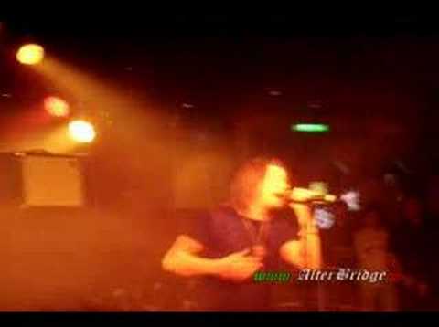 Alter Bridge - Shed my Skin (Live in Italy) - YouTube