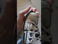 DVS Shoes 6 months wear time without Skateboarding