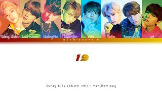 Stray Kids (스트레이 키즈) - 19 (OT8) - Color Coded Lyrics