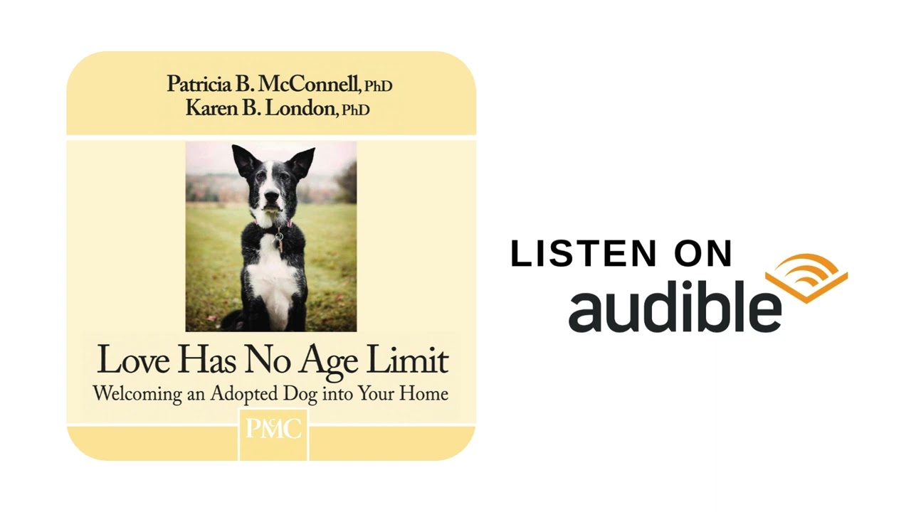 Love Has No Age Limit – Audiobook – McConnell Publishing