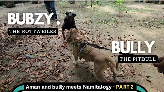Aaj ho hi gya‍ Bubzee vs Bully ! Part 2 with @namitaology  Rottweiler vs Pitbull