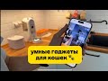 Умные гаджеты для кошек: автоматический лоток, умная кормушка и поилка.